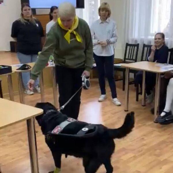 В Центральной городской детской библиотеке им. Ш. Худайбердина прошла увлекательная встреча с гостями из клуба владельцев собак-поводырей «Актырнак»